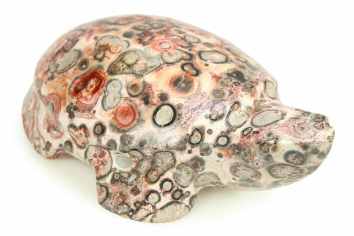 Carved Leopard Stone Turtle - Mexico #308289